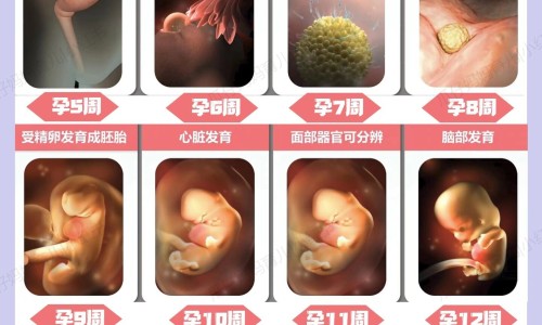 哺乳期做完爱腰疼怎么回事啊网 - 哺乳期同房后小腹隐隐作痛,哺乳期同房后下面痒怎么办